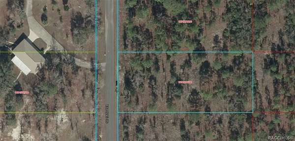 1 Acre of Residential Land for Sale in Dunnellon, Florida