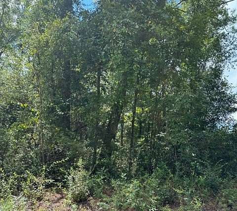 0.28 Acres of Land for Sale in Jasper, Florida