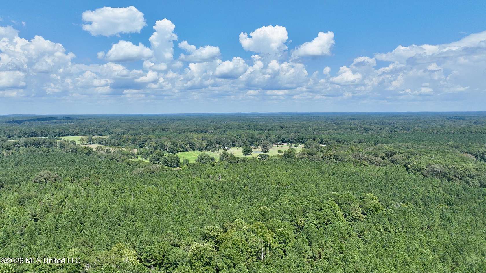42 Acres of Recreational & Residential Land for Sale in Polkville, Mississippi