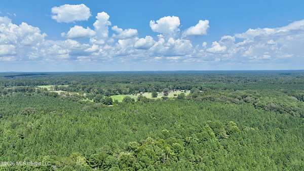 42 Acres of Recreational & Residential Land for Sale in Polkville, Mississippi