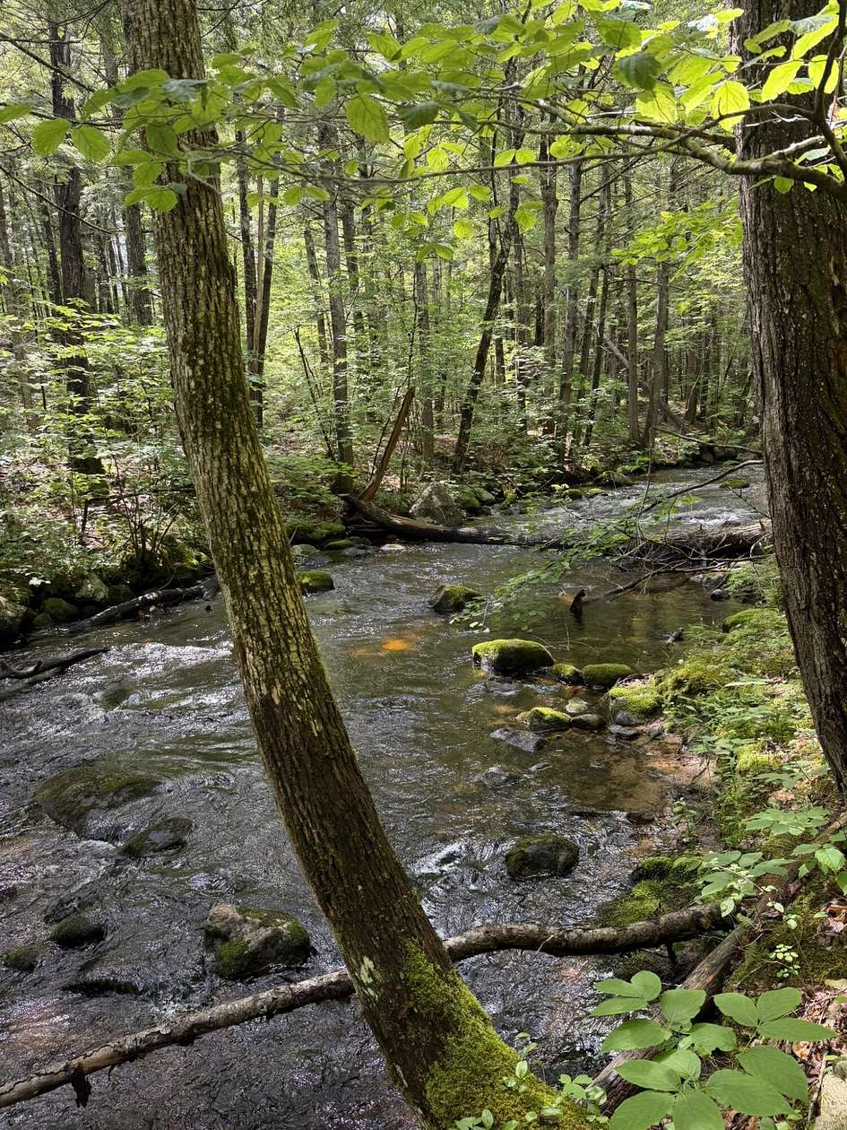 1.7 Acres of Residential Land for Sale in Harrison, Maine