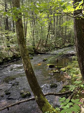 1.7 Acres of Residential Land for Sale in Harrison, Maine