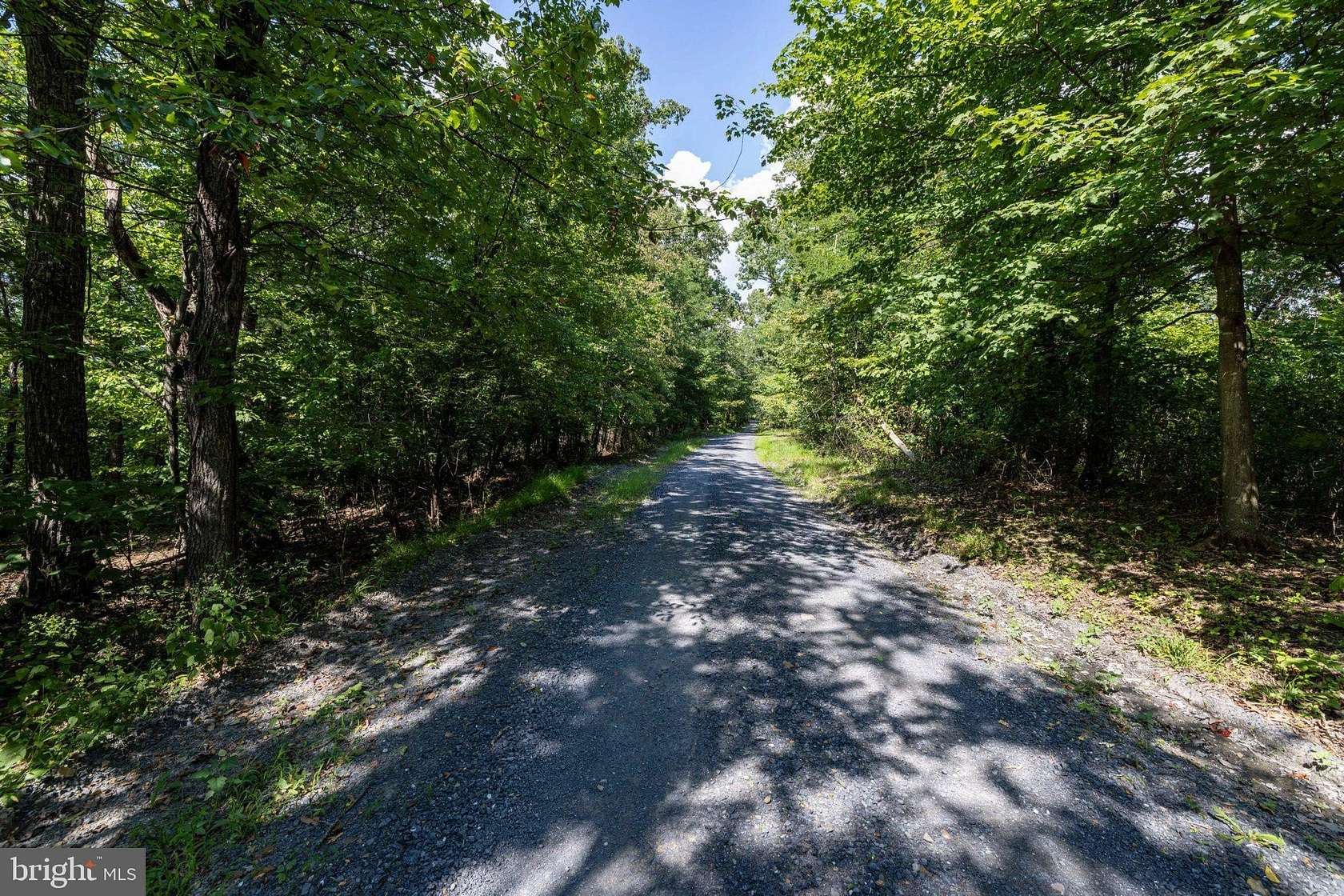 22 Acres of Recreational & Residential Land for Sale in Broadway, Virginia