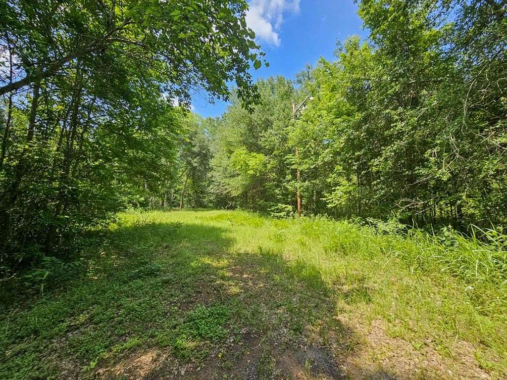 17 Acres of Recreational Land for Sale in Palestine, Texas