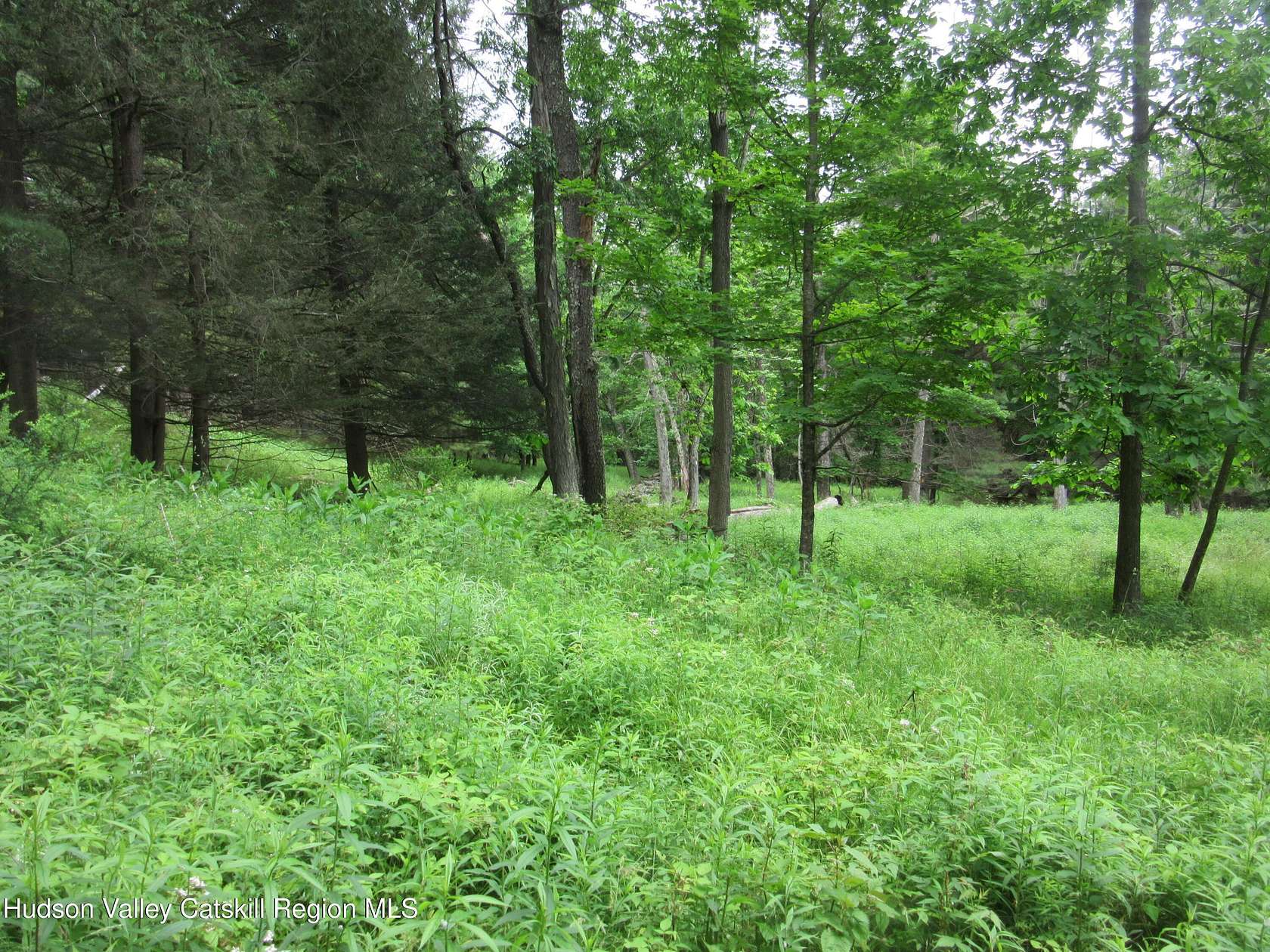 29.2 Acres of Recreational Land for Sale in Lexington, New York