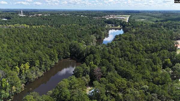 41.7 Acres of Land for Sale in Gilbert, South Carolina