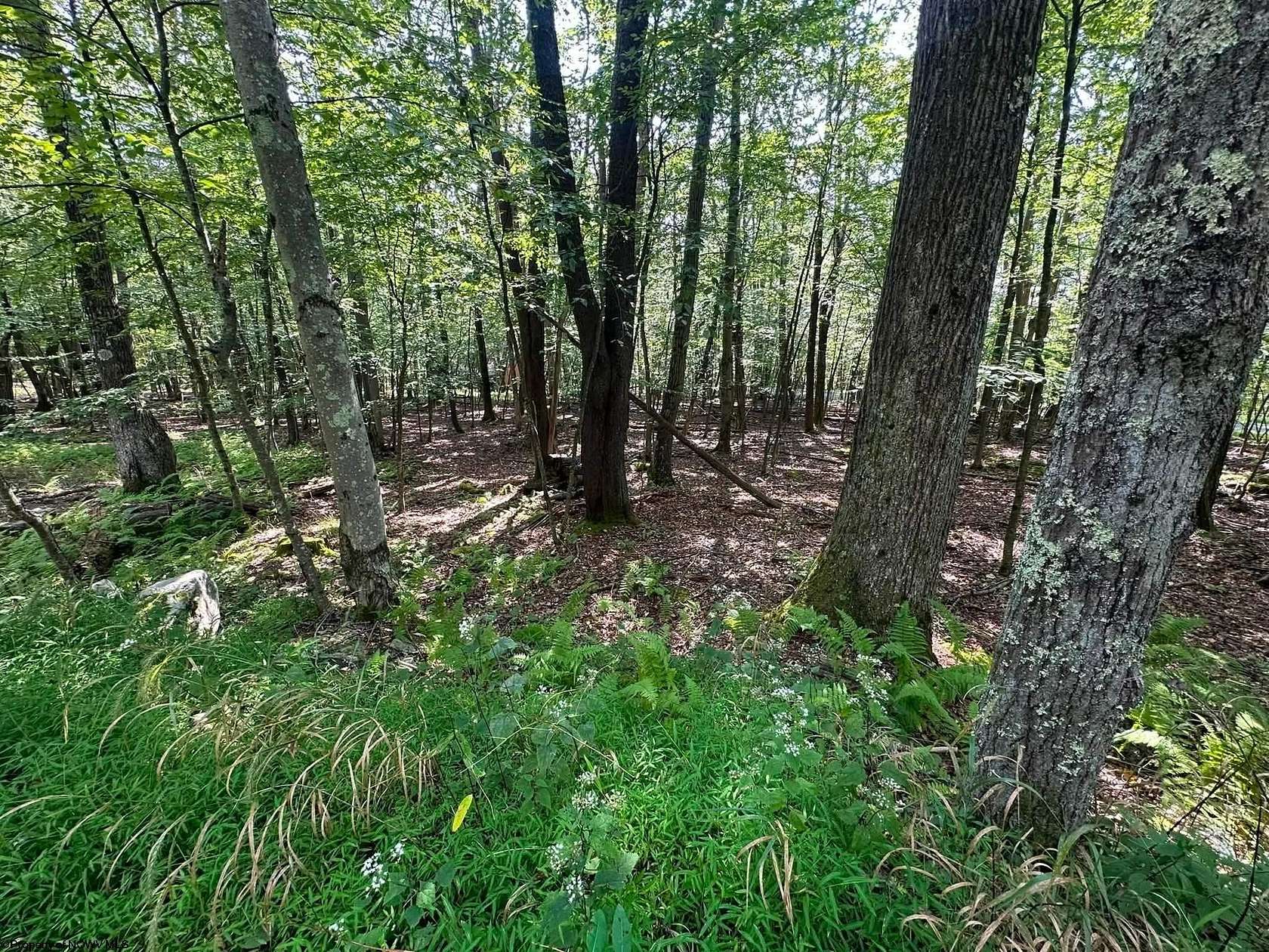 0.34 Acres of Residential Land for Sale in Terra Alta, West Virginia