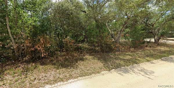 0.47 Acres of Residential Land for Sale in Avon Park, Florida