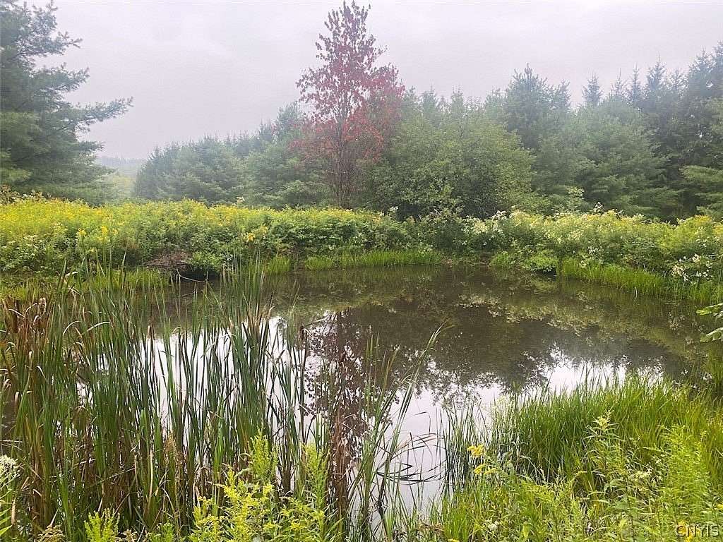19.8 Acres of Recreational Land for Sale in Belmont, New York