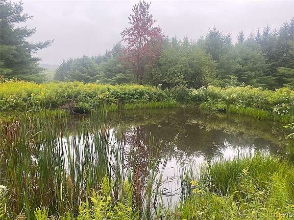 19.8 Acres of Recreational Land for Sale in Belmont, New York