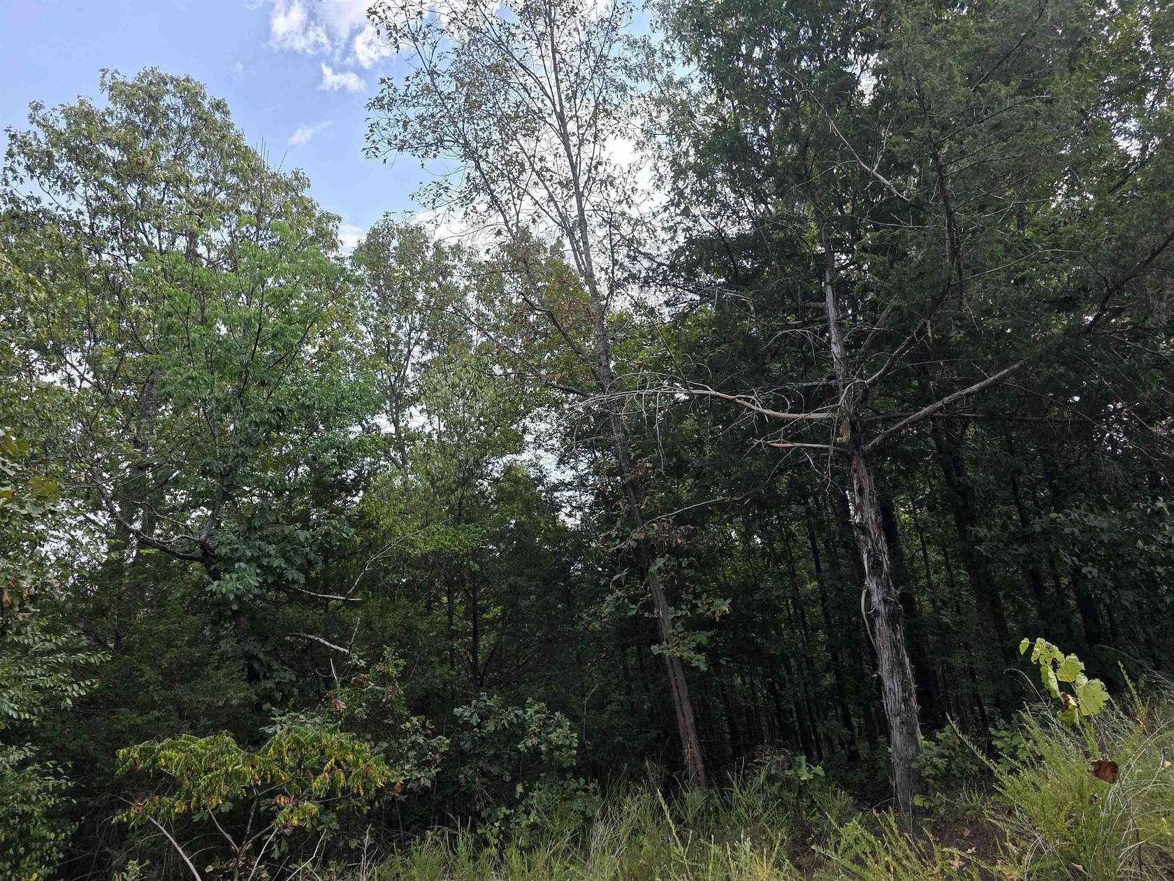0.16 Acres of Land for Sale in Hardy, Arkansas