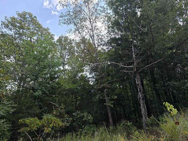 0.16 Acres of Land for Sale in Hardy, Arkansas