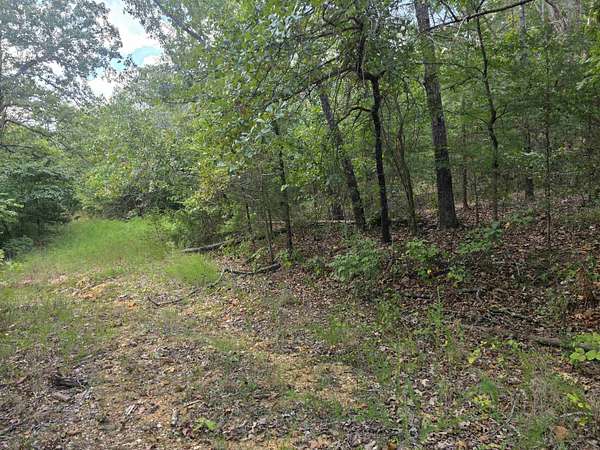 0.26 Acres of Land for Sale in Ozark Acres, Arkansas