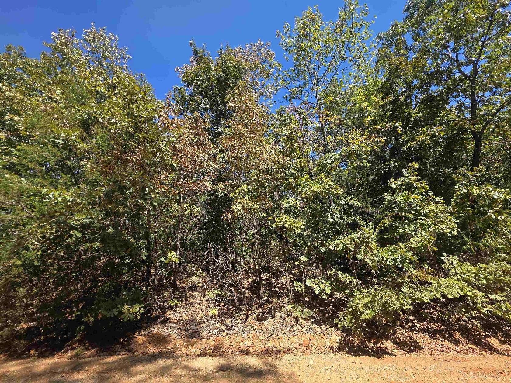 0.25 Acres of Residential Land for Sale in Highland, Arkansas