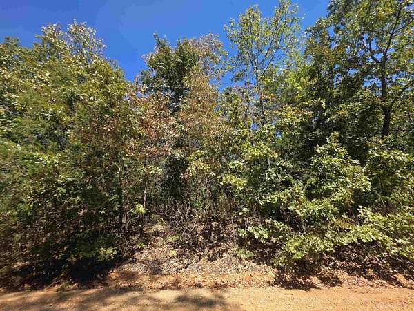 0.25 Acres of Residential Land for Sale in Highland, Arkansas