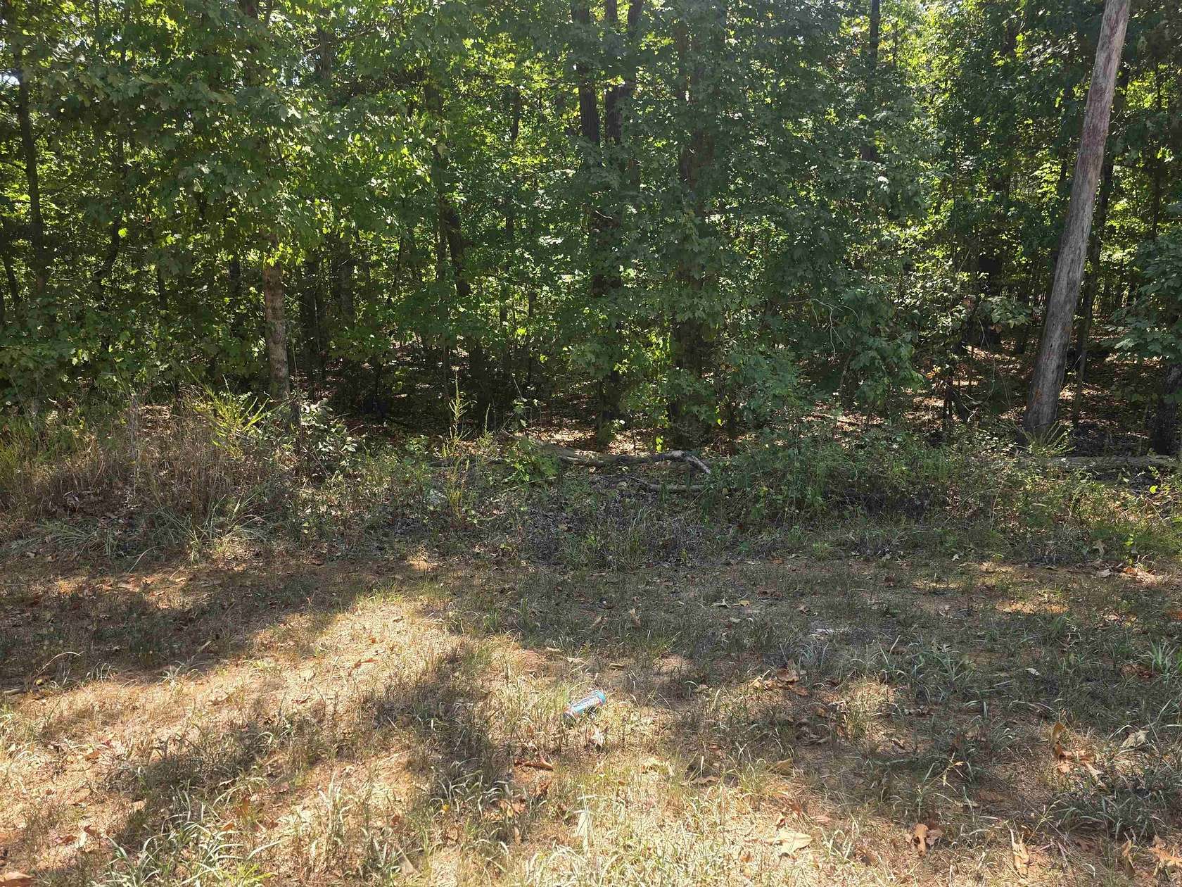 0.25 Acres of Residential Land for Sale in Highland, Arkansas