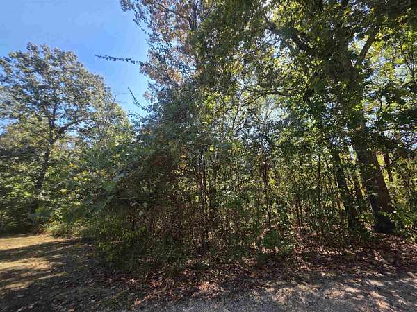 0.42 Acres of Residential Land for Sale in Highland, Arkansas