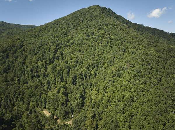 83 Acres of Recreational & Residential Land for Sale in Whittier, North Carolina