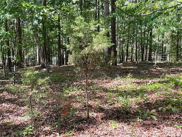 2.7 Acres of Residential Land for Sale in Cave Spring, Georgia