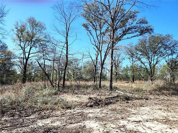 3 Acres of Residential Land for Sale in Mobile, Alabama