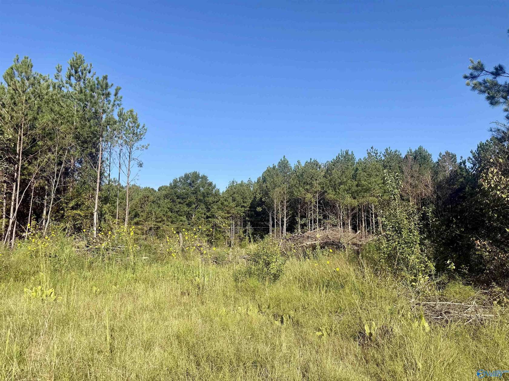 9 Acres of Land for Sale in Piedmont, Alabama