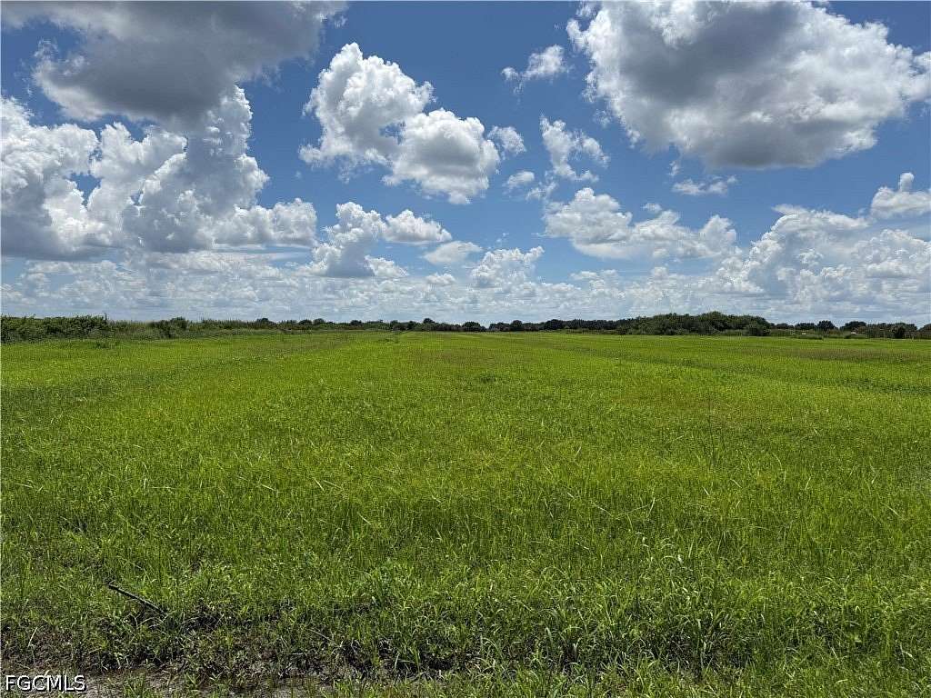 40 Acres of Agricultural Land for Sale in LaBelle, Florida