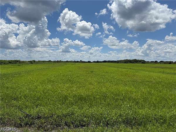 40 Acres of Agricultural Land for Sale in LaBelle, Florida