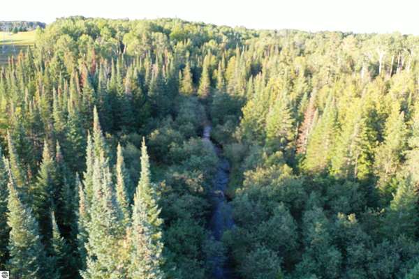 10.3 Acres of Recreational Land for Sale in Rose City, Michigan