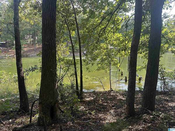 1 Acre of Residential Land for Sale in Talladega, Alabama
