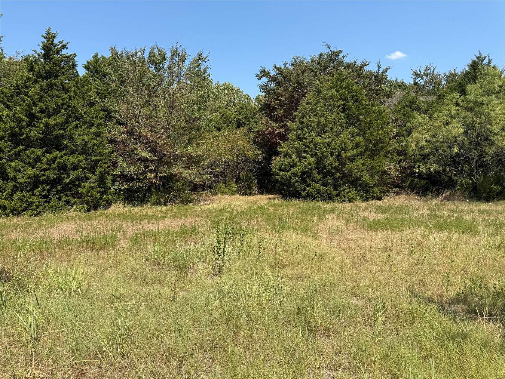 21.4 Acres of Land for Sale in Wills Point, Texas