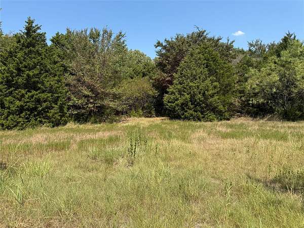 21.4 Acres of Land for Sale in Wills Point, Texas