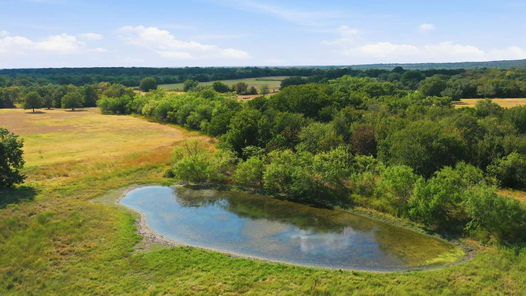12 Acres of Land for Sale in Kopperl, Texas