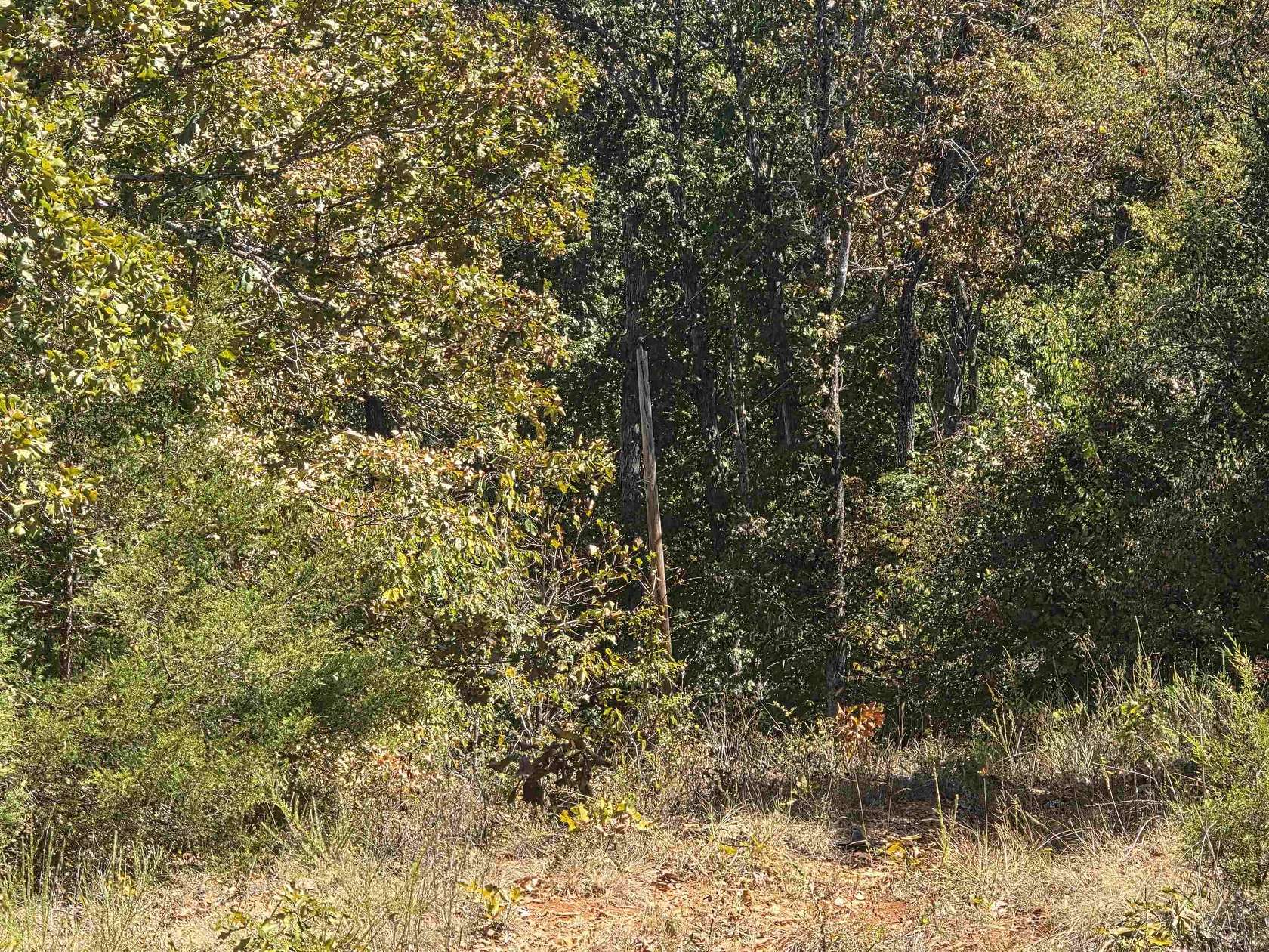 0.25 Acres of Land for Sale in Highland, Arkansas