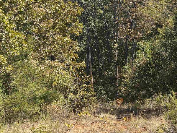 0.25 Acres of Land for Sale in Highland, Arkansas