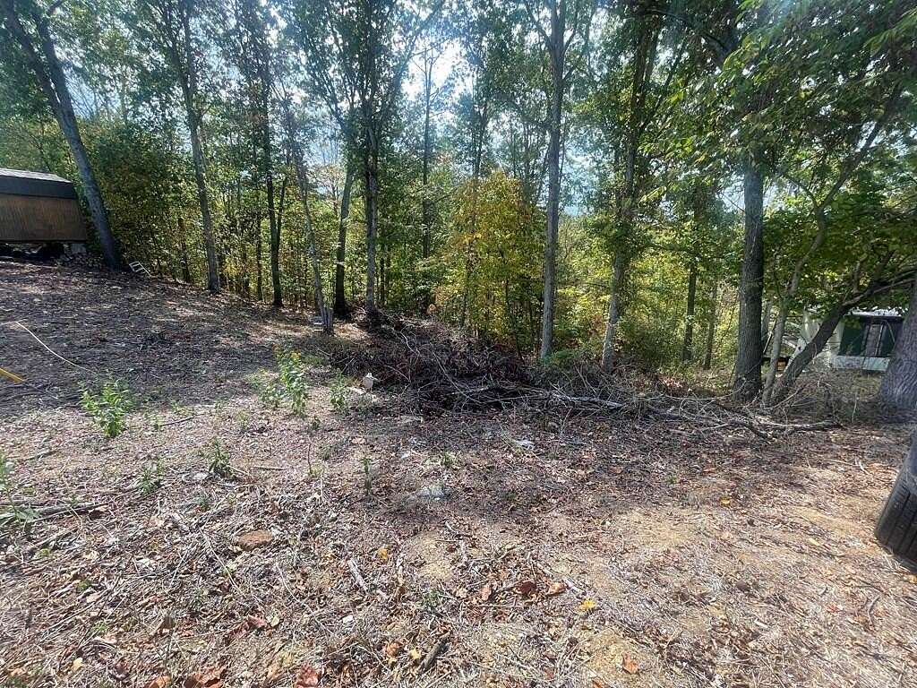 0.27 Acres of Residential Land for Sale in Louisa, Kentucky