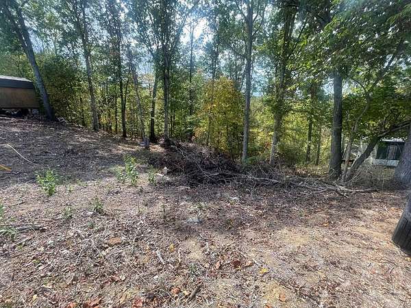 0.27 Acres of Residential Land for Sale in Louisa, Kentucky