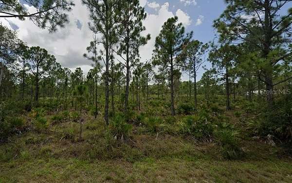0.17 Acres of Residential Land for Sale in Punta Gorda, Florida