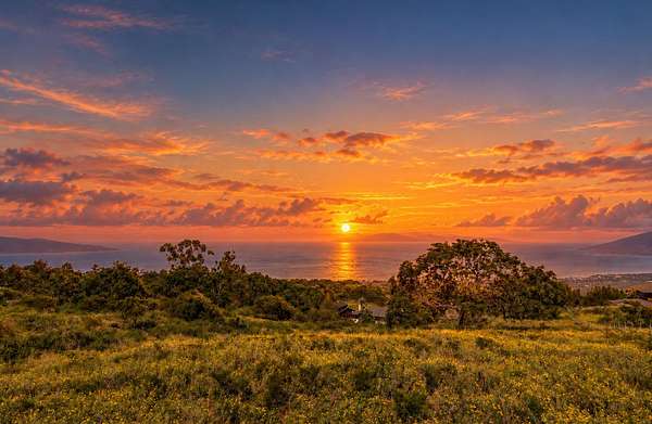 22.4 Acres of Land for Sale in Kula, Hawaii