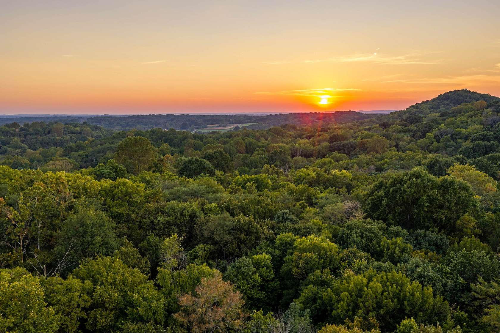 116 Acres of Recreational & Residential Land for Sale in College Grove, Tennessee
