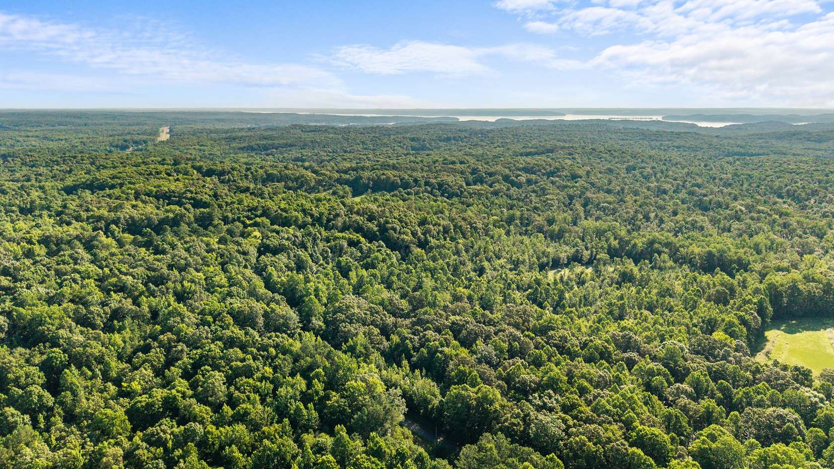 55.7 Acres of Land for Sale in Springville, Tennessee
