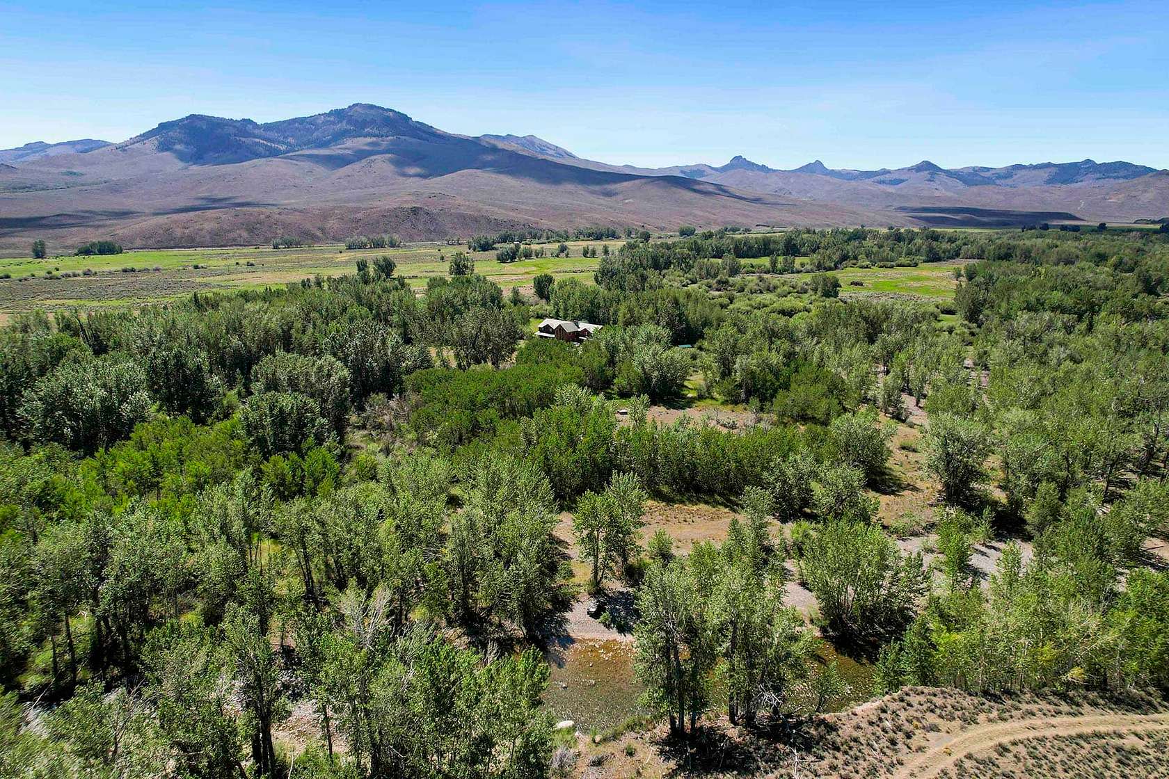 63 Acres of Recreational & Residential Land for Sale in Mackay, Idaho