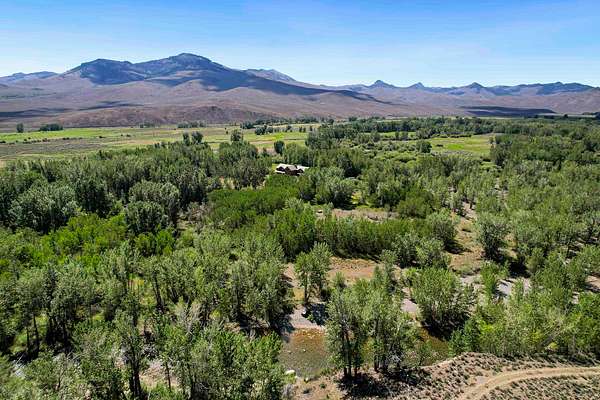 63 Acres of Recreational & Residential Land for Sale in Mackay, Idaho