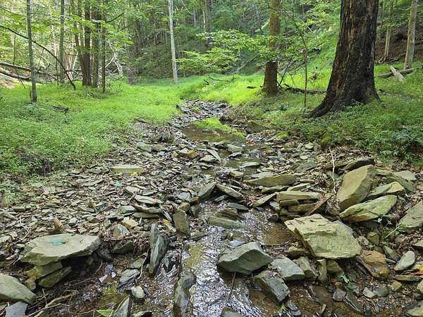 199 Acres of Recreational & Residential Land for Sale in Lindside, West Virginia