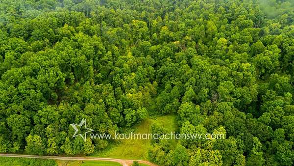 162 Acres of Recreational Land for Auction in Sandyville, West Virginia