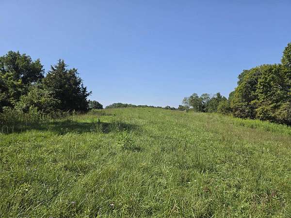 41.5 Acres of Land for Sale in Ballard, West Virginia