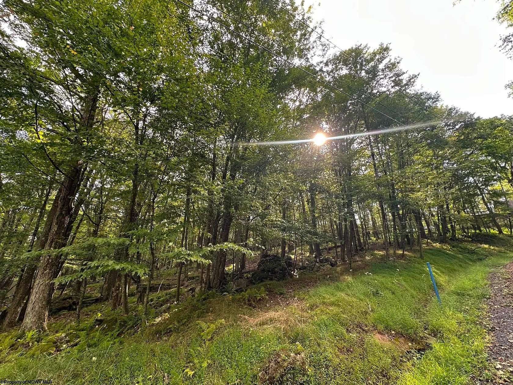 1.14 Acres of Residential Land for Sale in Terra Alta, West Virginia