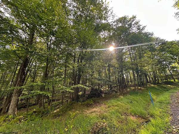 1.14 Acres of Residential Land for Sale in Terra Alta, West Virginia