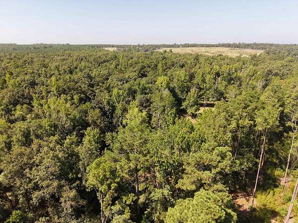 40 Acres of Recreational Land for Sale in Star City, Arkansas