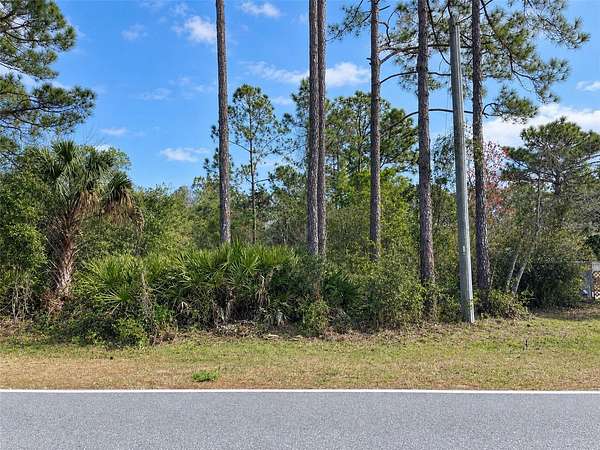 2 Acres of Residential Land for Sale in Eustis, Florida