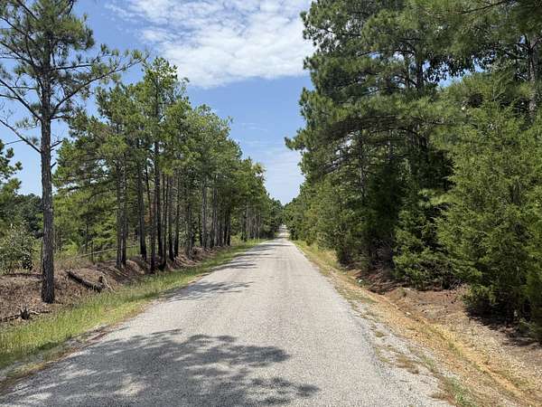 16.4 Acres of Recreational Land for Sale in Hickory Flat, Mississippi